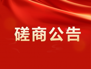 荊州市婦幼保健院監(jiān)控維保服務(wù)招標(biāo)項目競爭性磋商公告